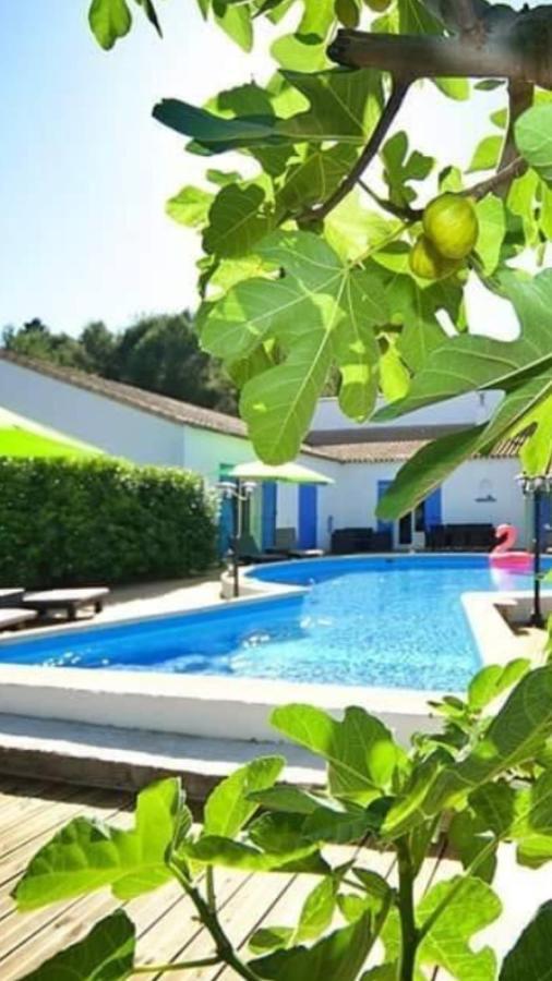 La Villa Du Menhir Gite Bize-Minervois Exterior photo